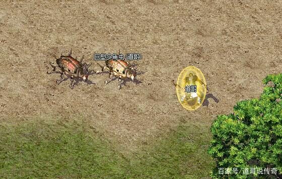 魔法盾